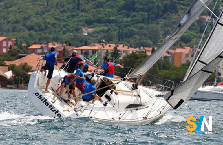 Il Bonin 31 in navigazione