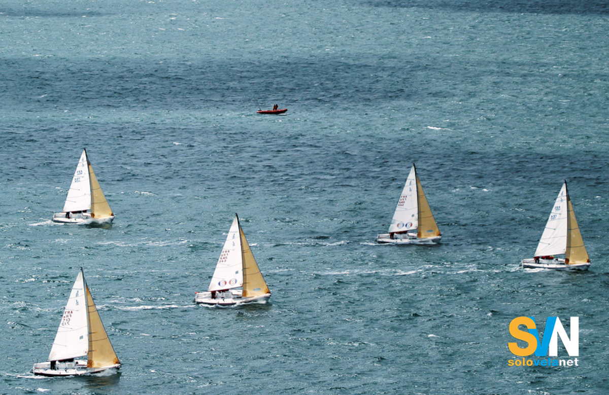 J 80 in regata