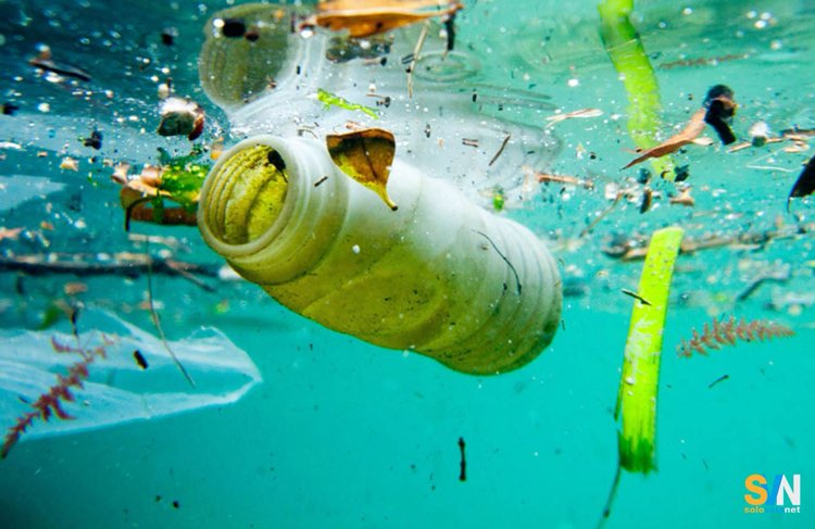 Come diventare velisti ecologici e sostenibili al 100 per cento